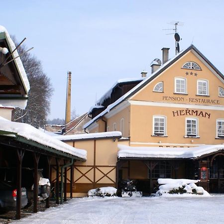 Pension Herman Рудник Экстерьер фото